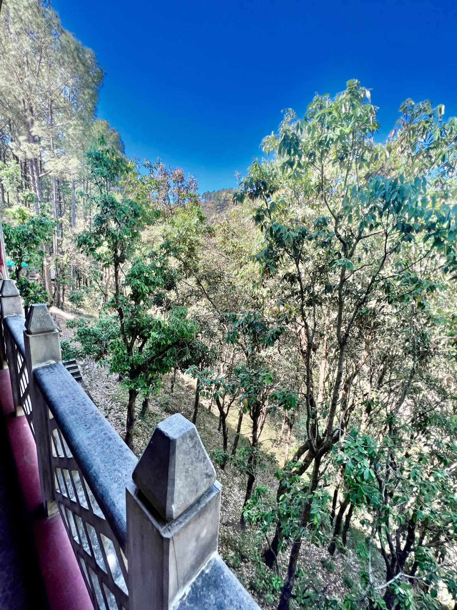 Sea Hawk - Luxury Hill Resort 4 Mins From Bhimtal Lake Zewnętrze zdjęcie
